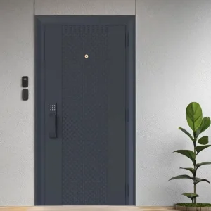 Derchi Stainless Steel Pivot Villa Door Anti-Theft Fire-Rated Entry