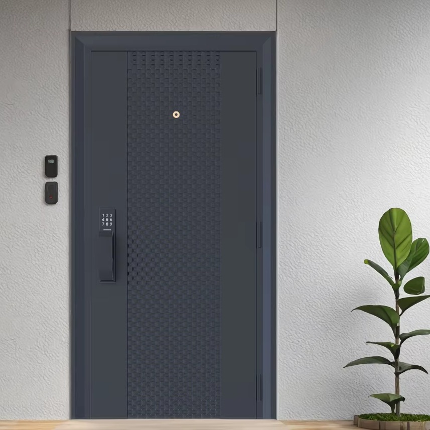 Modern Stainless Steel Pivot Entry Door
