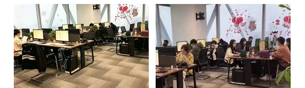 ملف تعريف الشركة الإضافي