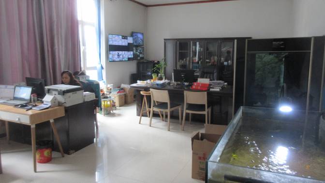 Showroom Area 2