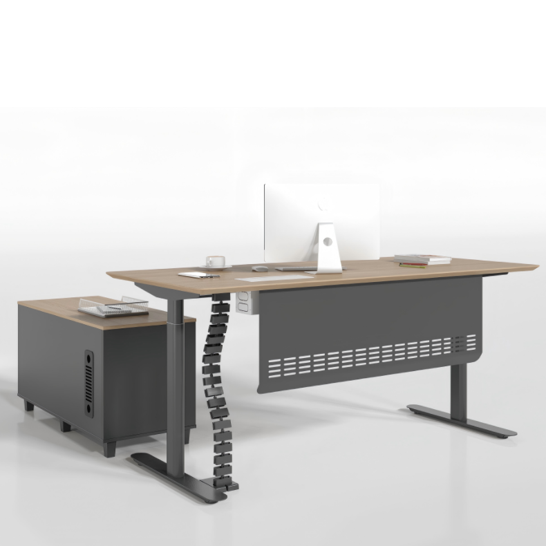 Dual-Motor Sitting/Standing Table Affordable Automatic Electric Lifting Table Adjustable Height and Customizable Size Color