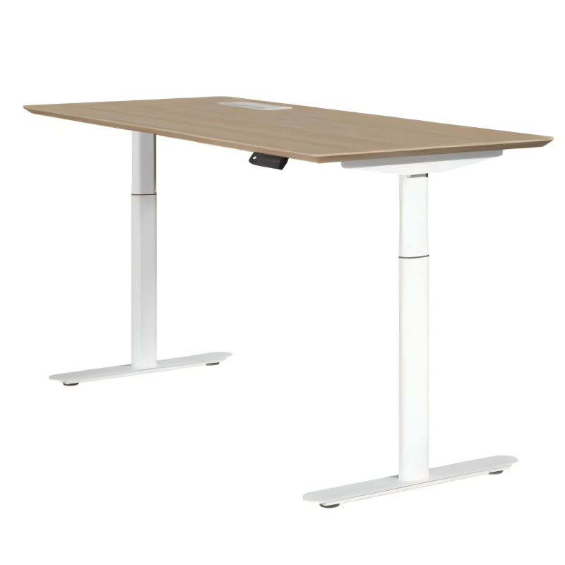 Dual-Motor Sitting/Standing Table Affordable Automatic Electric Lifting Table Adjustable Height and Customizable Size Color