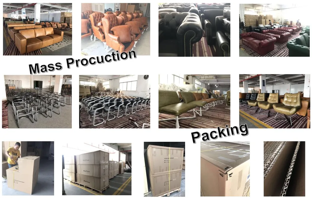Packaging & Shipping