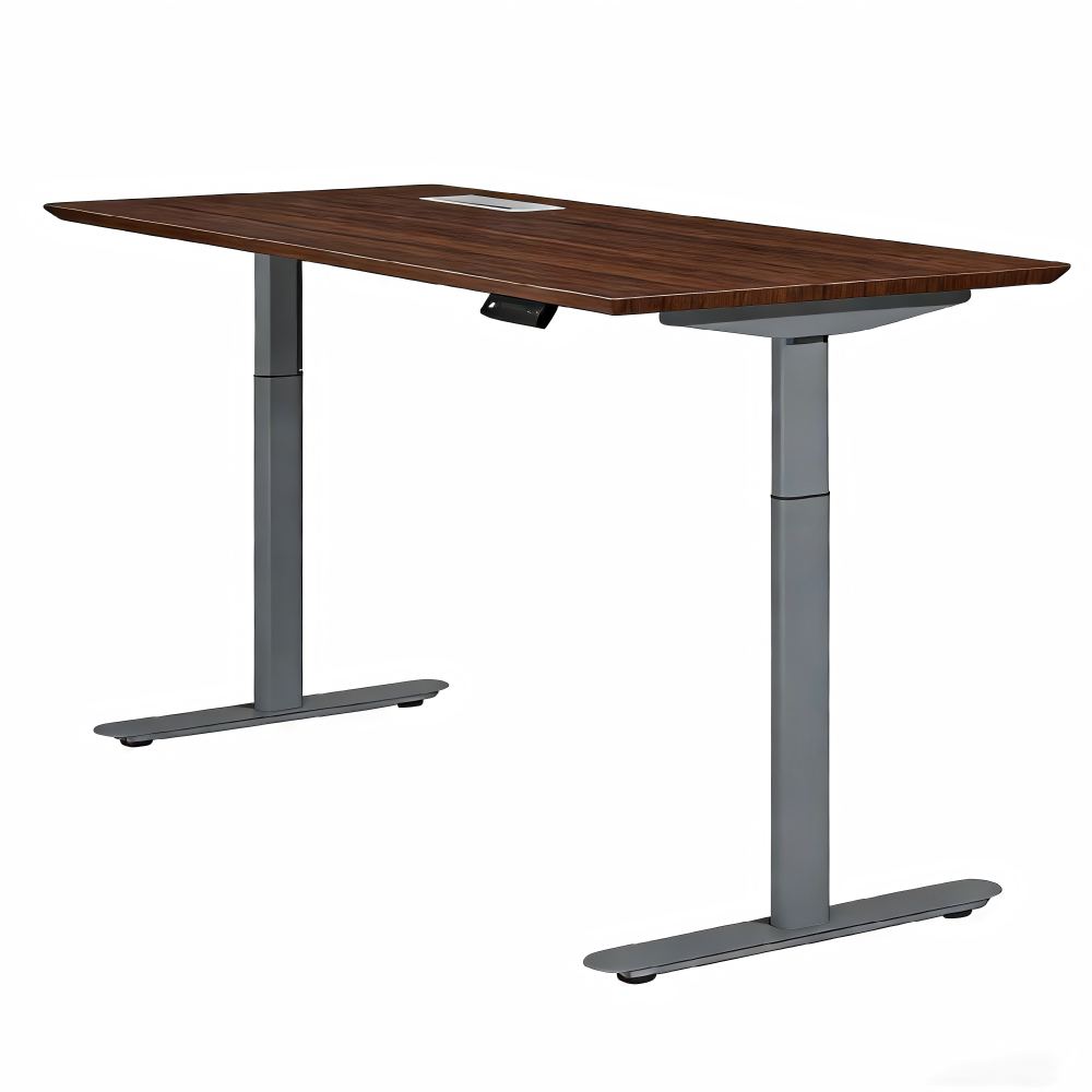 Dual-Motor Sitting/Standing Table Affordable Automatic Electric Lifting Table Adjustable Height and Customizable Size Color