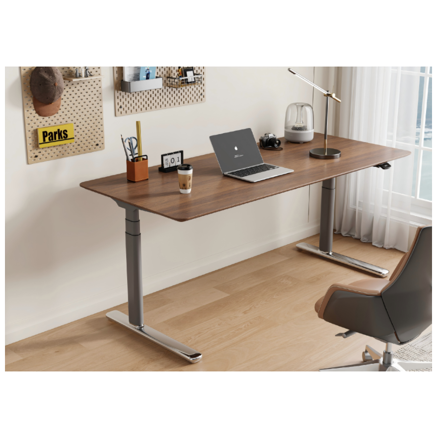 Dual-Motor Sitting/Standing Table Affordable Automatic Electric Lifting Table Adjustable Height and Customizable Size Color