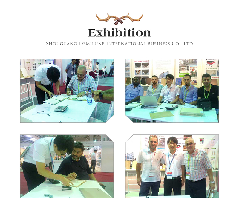 Exhibition