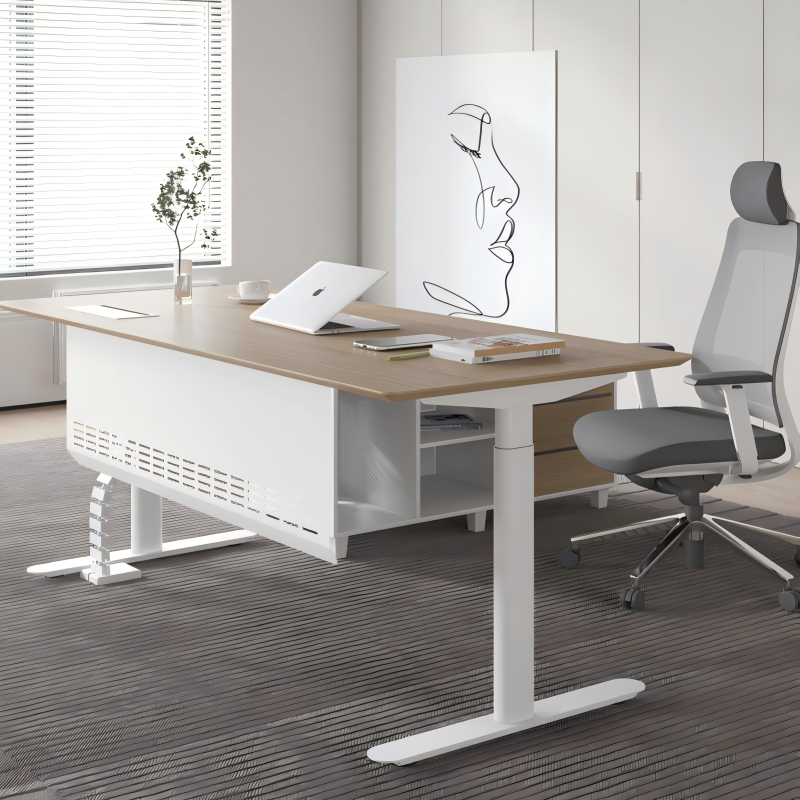 Dual-Motor Sitting/Standing Table Affordable Automatic Electric Lifting Table Adjustable Height and Customizable Size Color