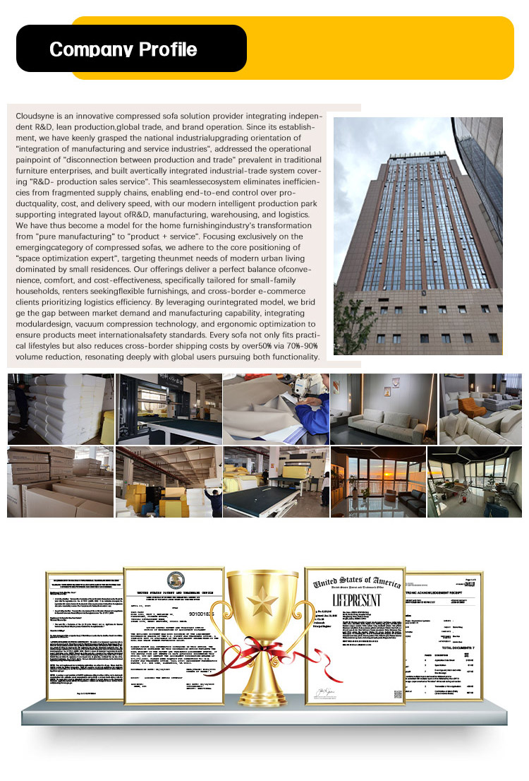 Company Introduction 1