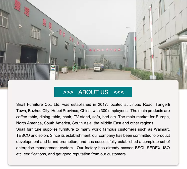 Company Profile Overview