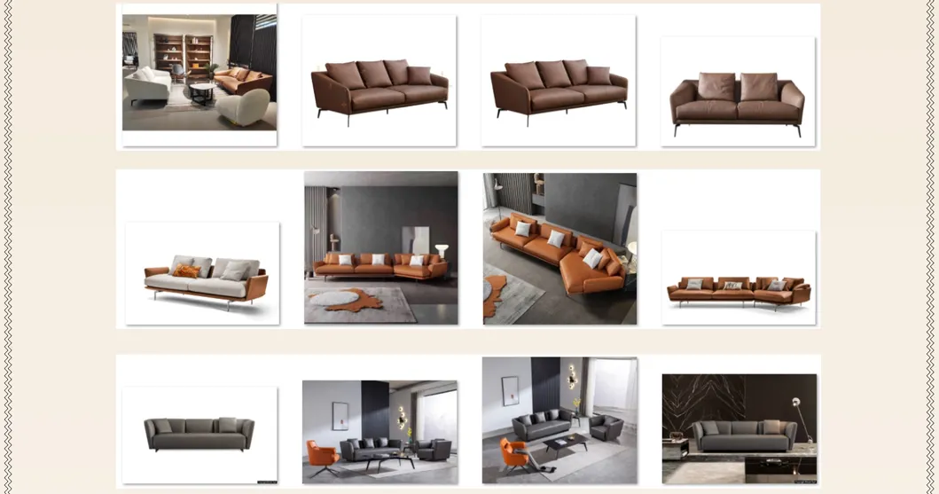 Living Room Accent Sofa 2