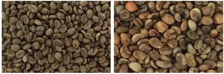Clasificador CCD para arroz y granos