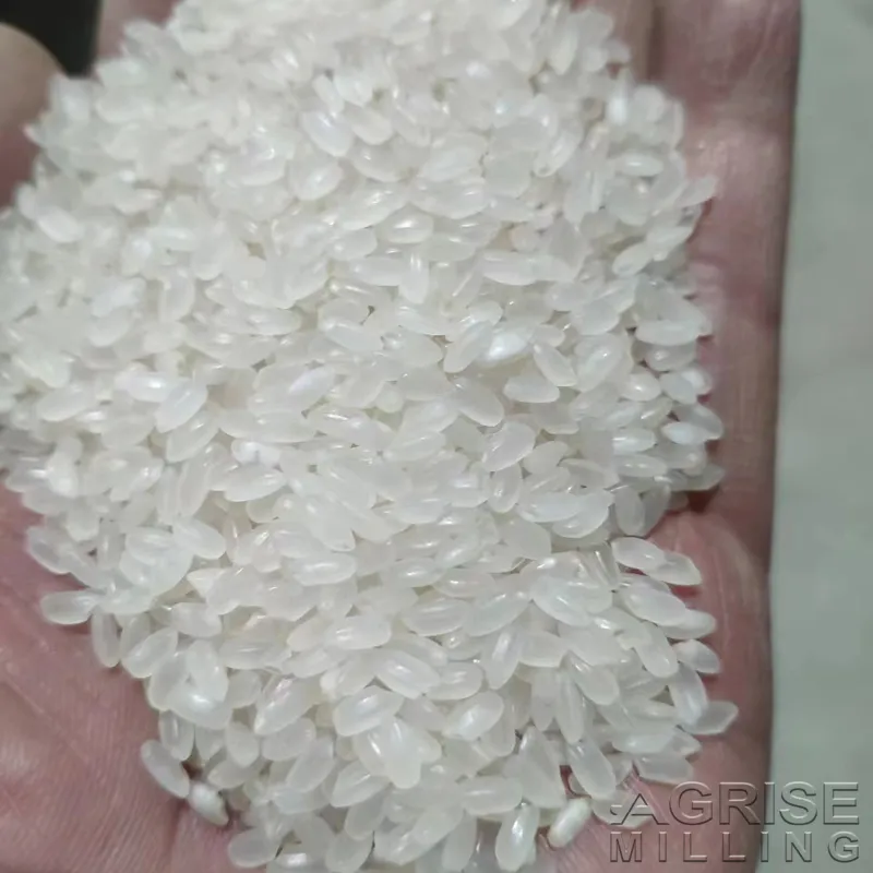 Arroz pulido de alta calidad