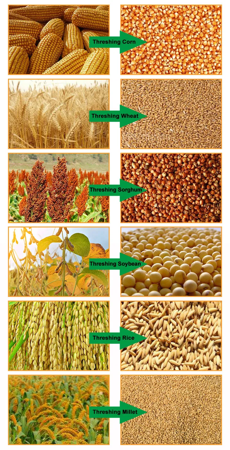 Detalles de la trilla del arroz y aplicaciones