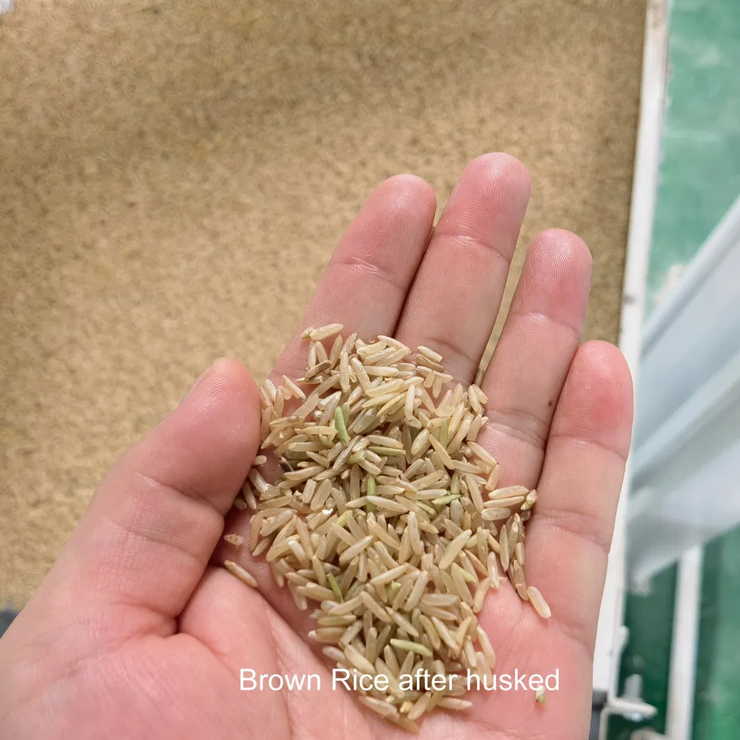 Procesamiento de arroz - Etapa 2