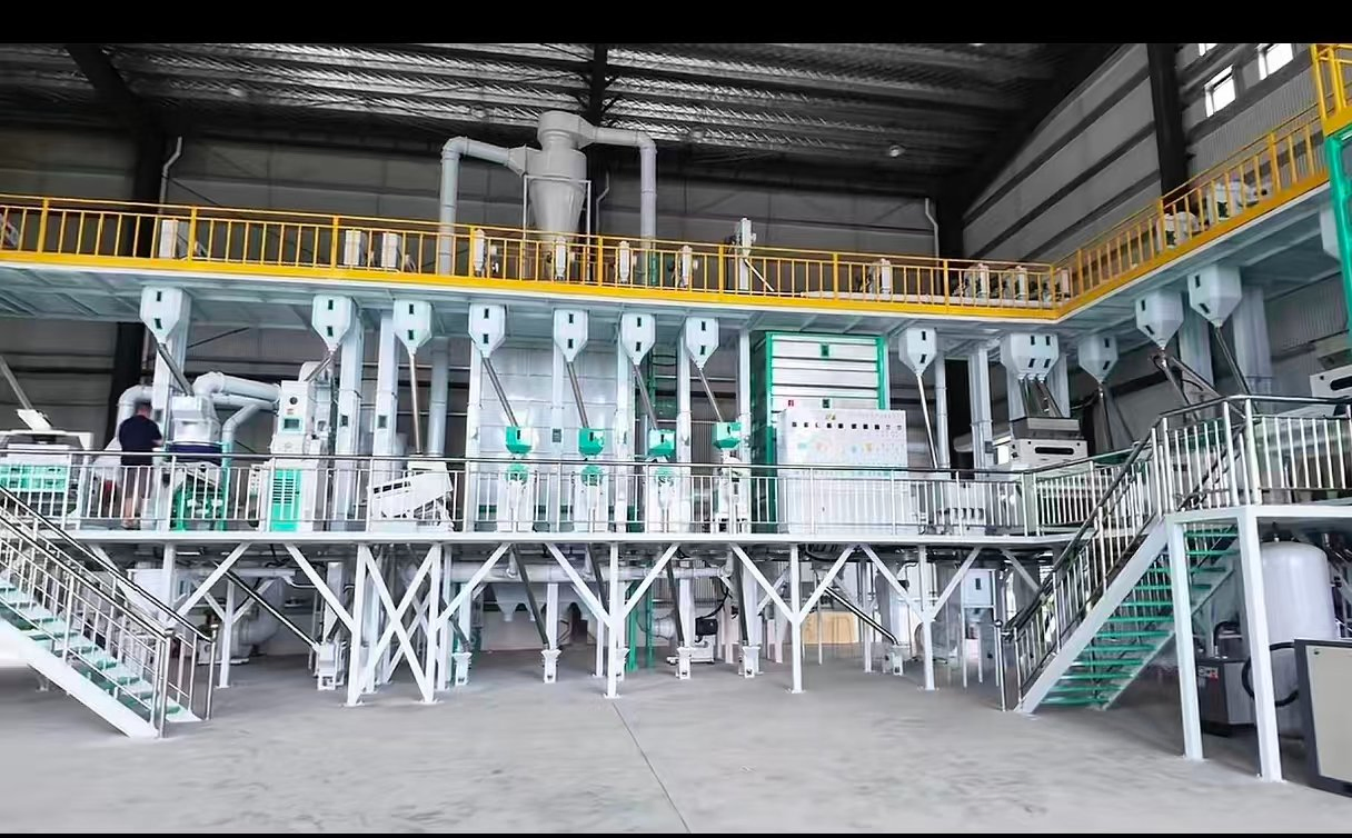 Precio de fábrica 30t/D Línea completa de molienda de arroz Planta de procesamiento de arroz paddy