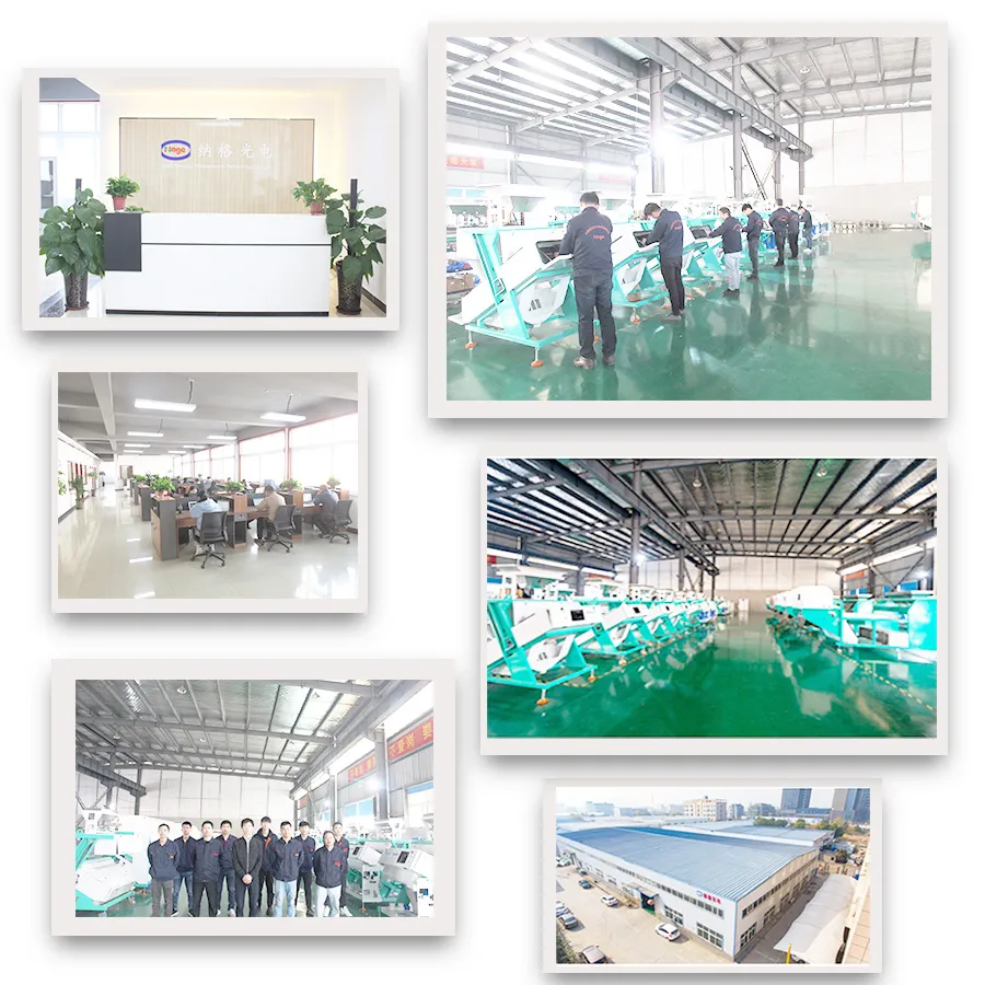 Planta de producción y control de calidad