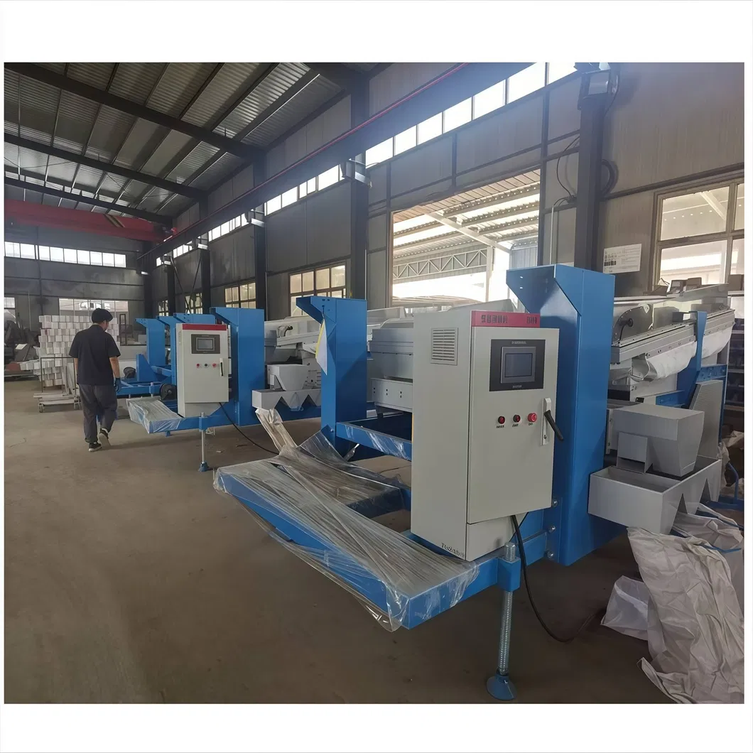 Exportación 3