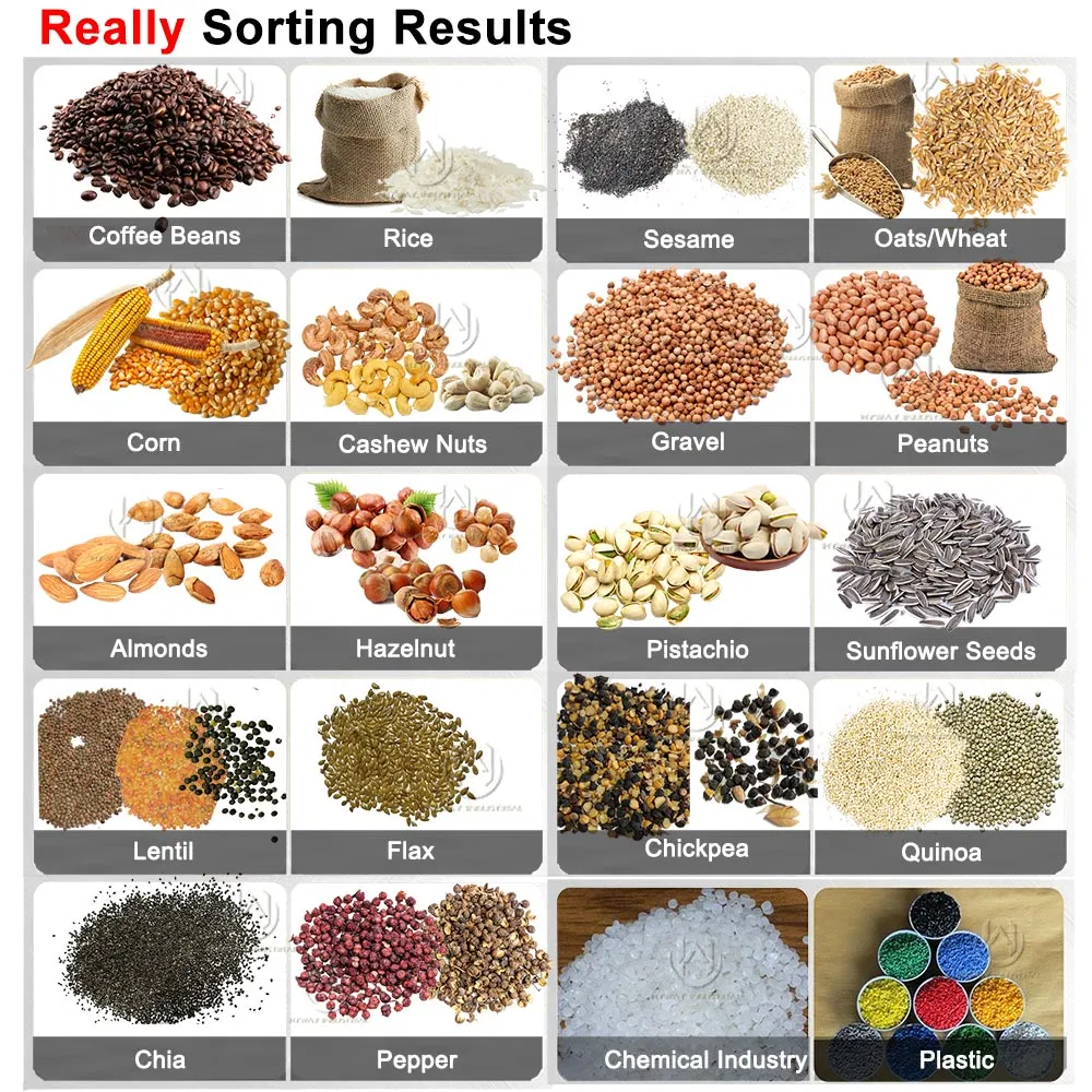 Hcs1000 50-1000kg/H Nueva máquina clasificadora de garbanzos, granos, arroz, trigo, nueces y granos de café de plástico, maquinaria agrícola