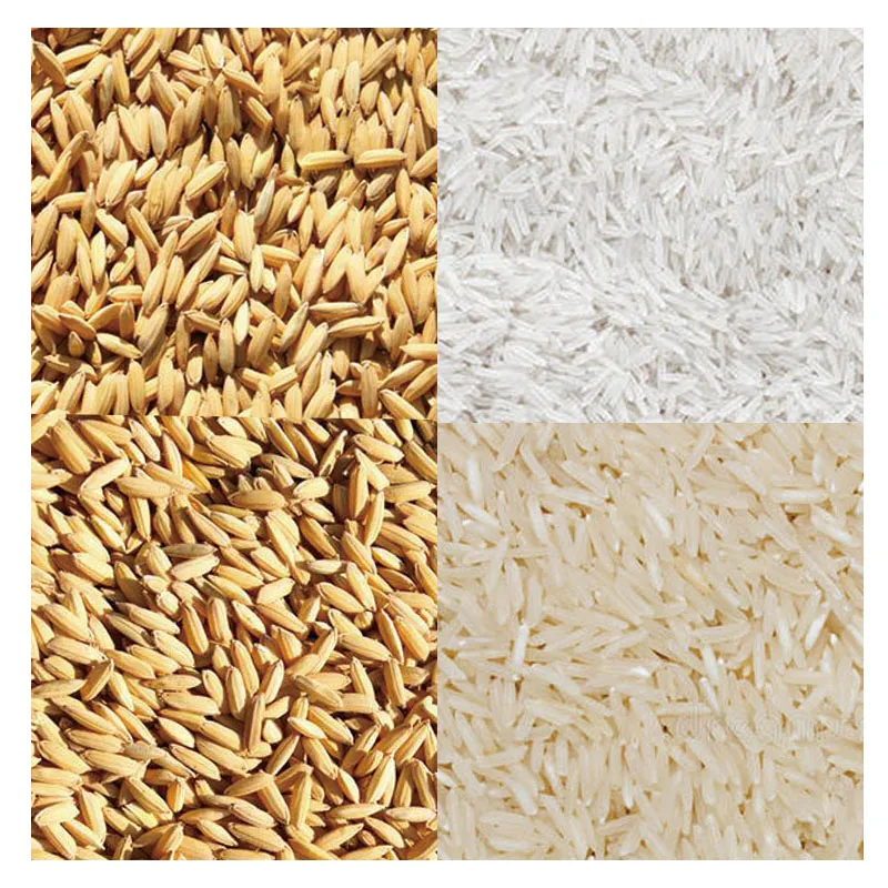 Sistema Completo de Molienda Industrial de Arroz