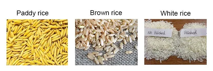 Máquina de molino de arroz compacta moderna de alta calidad para uso comercial, máquina de molienda de arroz