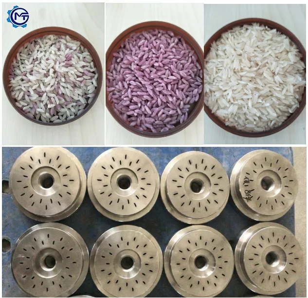 Molde artificial de arroz