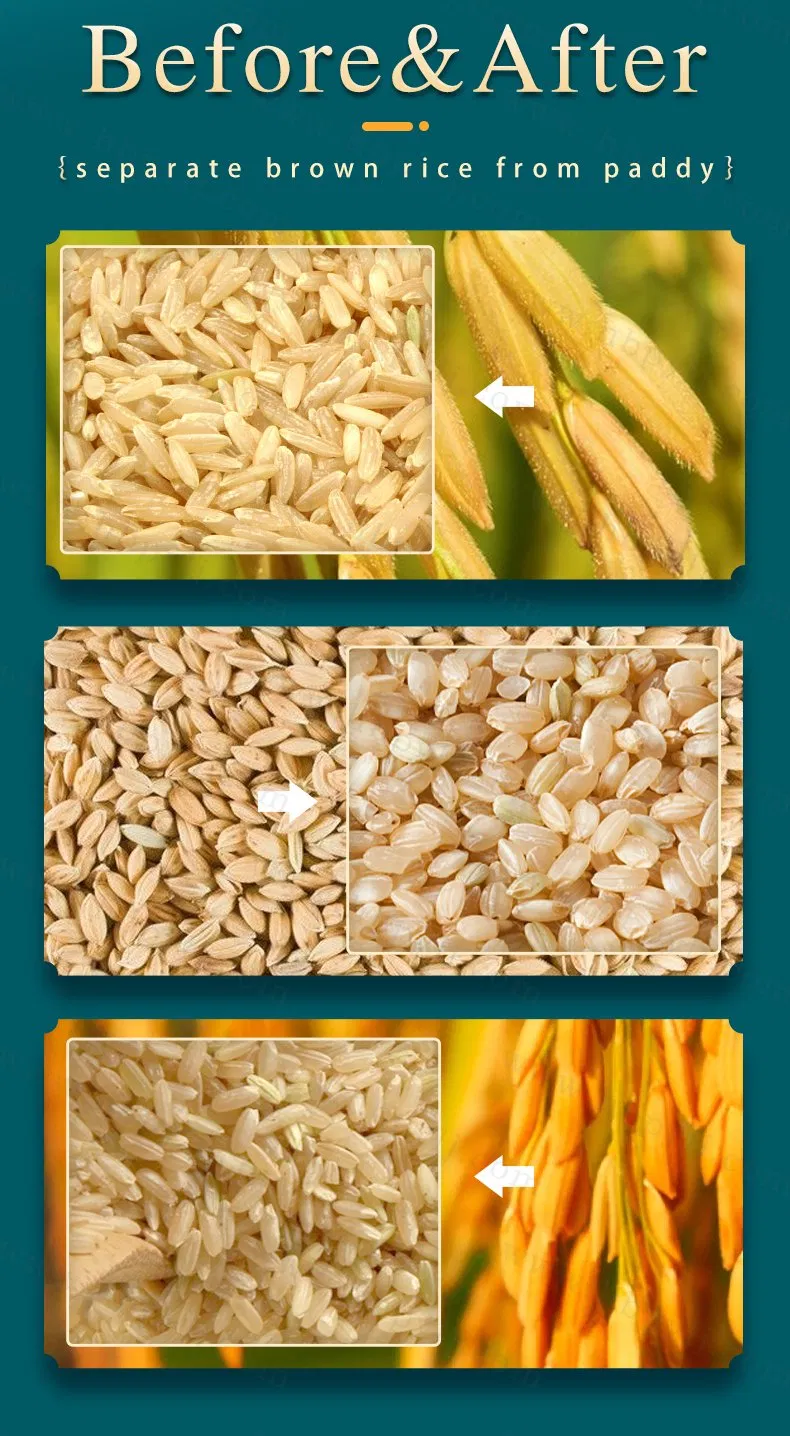 Separador de arroz de alta eficiencia de una sola carcasa para molino de arroz