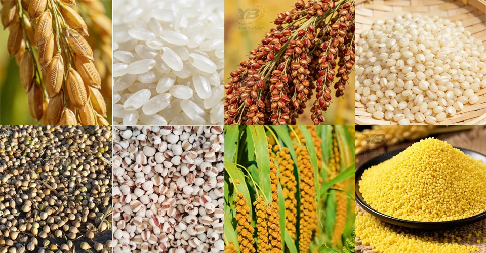 50tpd Planta de Molienda de Arroz Comercial con Clasificador de Color