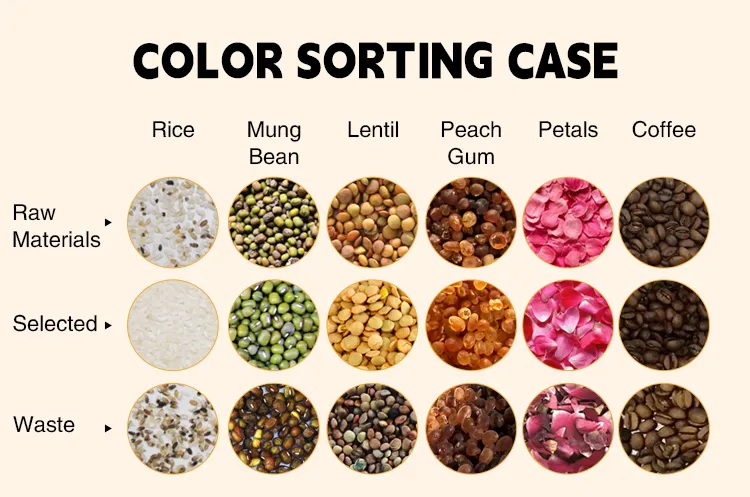 Pequeño Mini Semillas Inteligentes Grano Arroz Clasificador de Color CCD