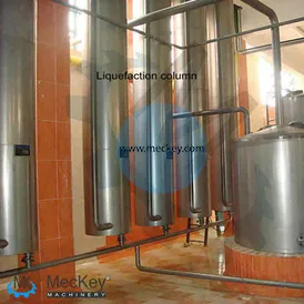 Equipo Avanzado de Procesamiento de Arroz para la Producción de Glucosa Líquida