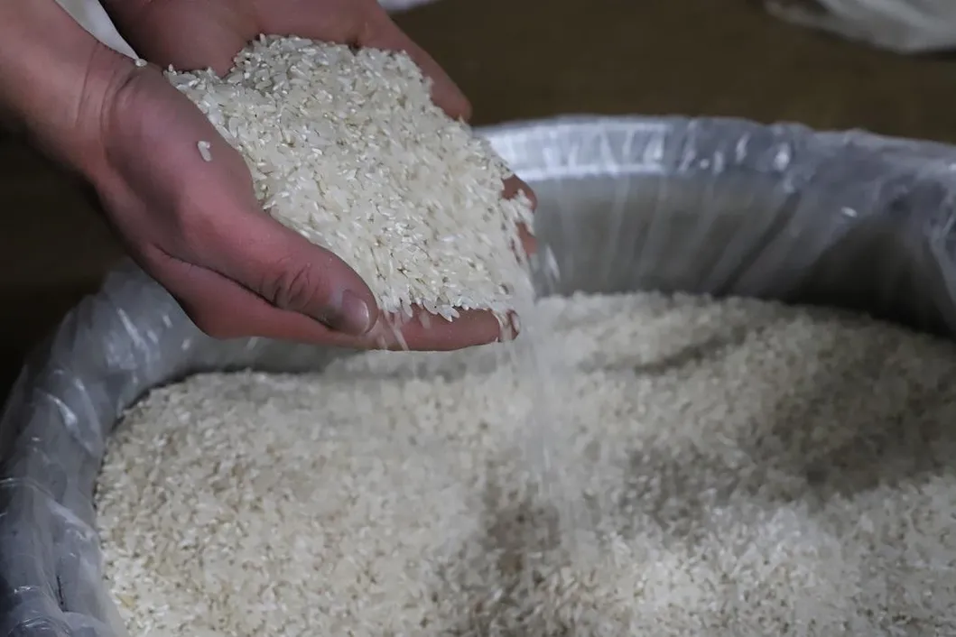 Separador de arroz, procesador de arroz, descascaradora, máquina de molino de arroz
