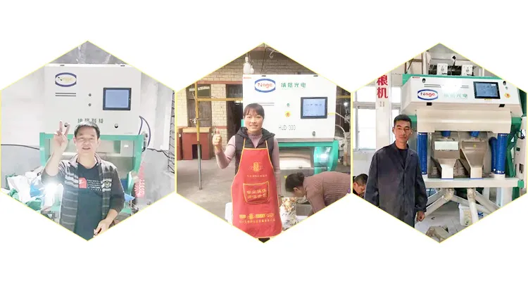Clasificadora en planta del cliente