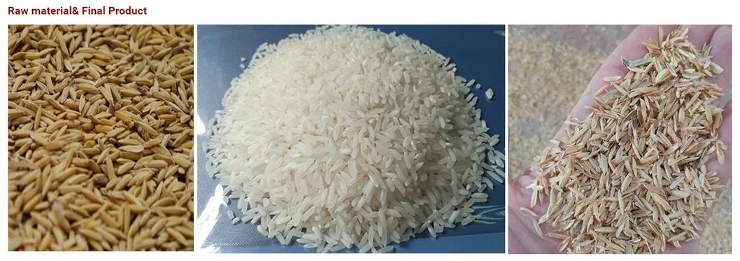 Equipo Avanzado de Procesamiento Continuo de Arroz para Alta Eficiencia