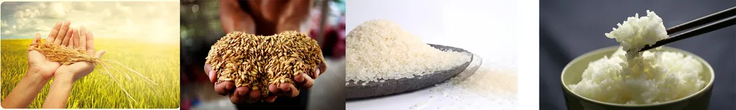 30tpd Plantas de molienda de arroz automáticas completas