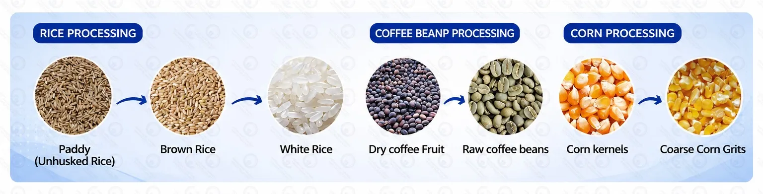 Soluciones de procesamiento agrícola