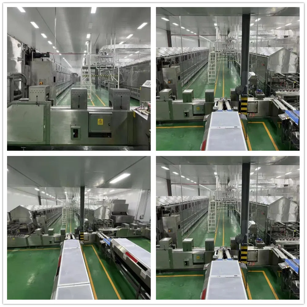 Línea de producción de procesamiento de fideos de arroz