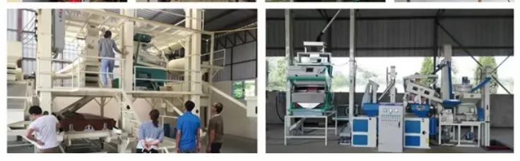 Máquina de clasificación de color para mini semillas, café, sal, arroz, frijoles y granos