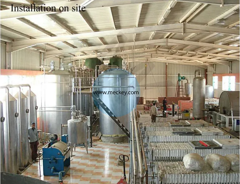 Equipo Avanzado de Procesamiento de Arroz para la Producción de Glucosa Líquida
