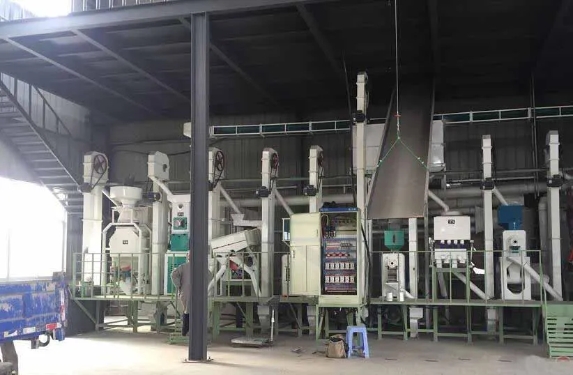 Aplicación de la planta de arroz en fábrica 1