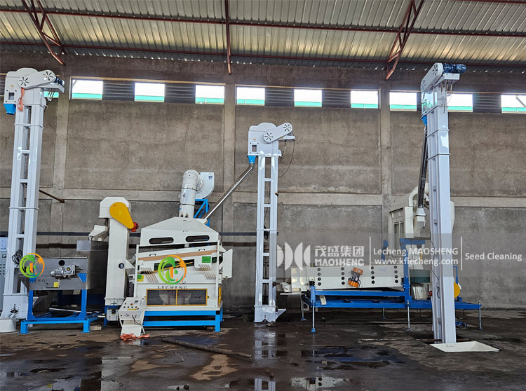 Máquina de limpieza de granos removedor de piedras máquina desstoneadora de arroz y sésamo