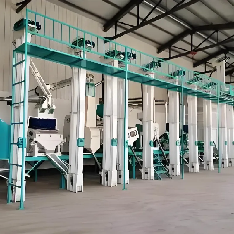Estructura de la planta de arroz