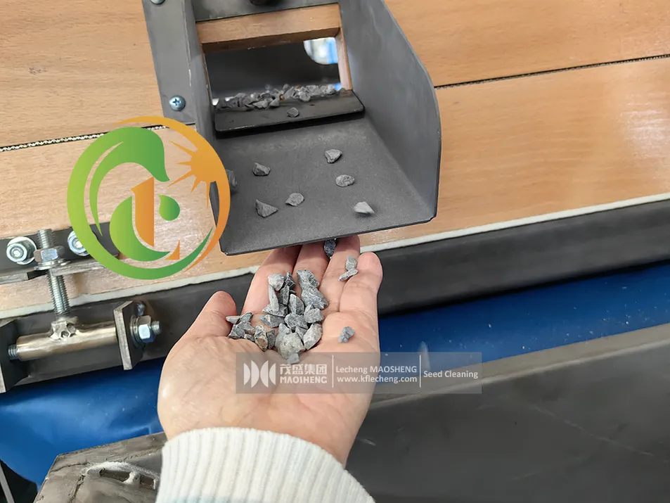 Máquina de limpieza de granos removedor de piedras máquina desstoneadora de arroz y sésamo