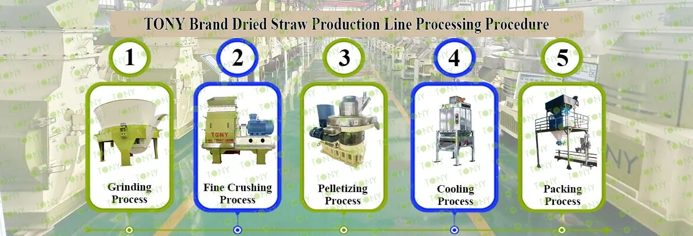 Línea de producción