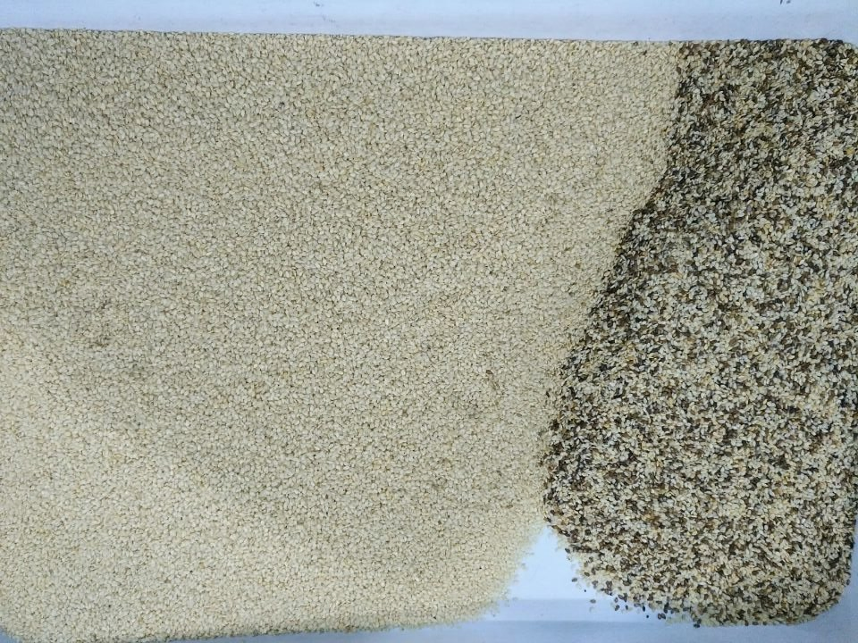 Máquina clasificadora de colores con cámara CCD de alto rendimiento, control remoto por WiFi para granos, semillas, nueces, sésamo, arroz, trigo, soja, frijoles negros y plástico