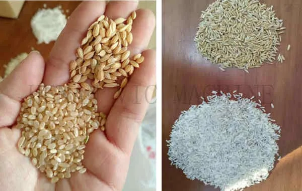 Nueva maquinaria agrícola desarrollada, máquina de pulido de grano de maíz multifuncional, molino de blanqueo automático combinado de arroz blanco en venta
