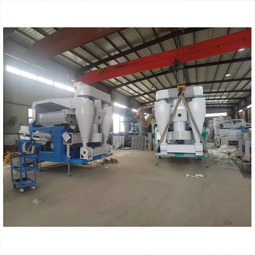 Exportación 2