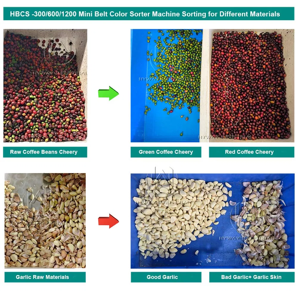 Máquina clasificadora de colores Ai Inteligente 500-1200kg/H Mini Cinta Oruga Granos de Café Cereza Ajo Plástico Pimiento Picante Almendras Aceitunas Pistachos Arroz