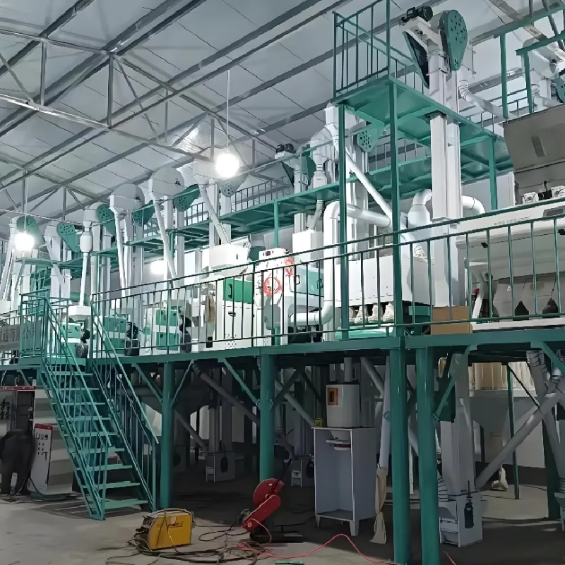 Línea de procesamiento instalada