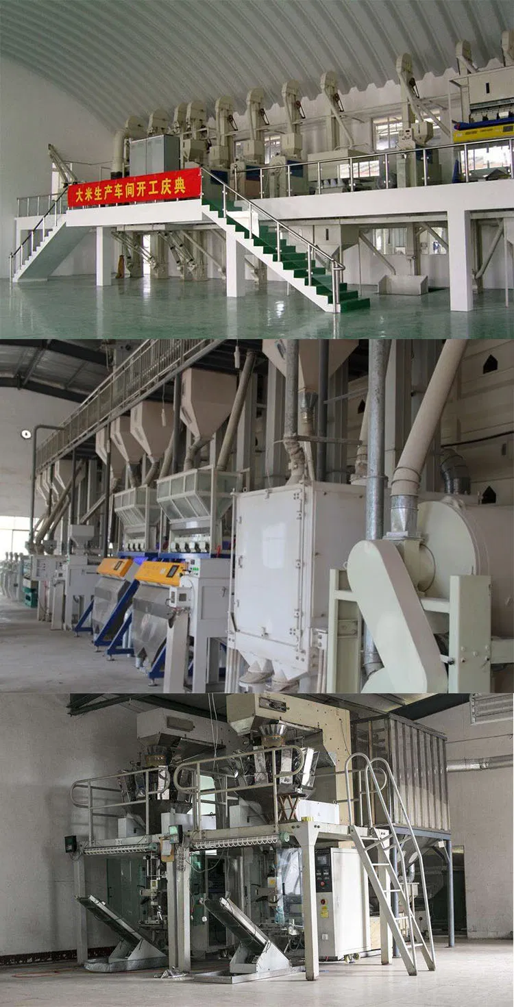 Línea de producción completa de procesamiento de arroz 10ton por día