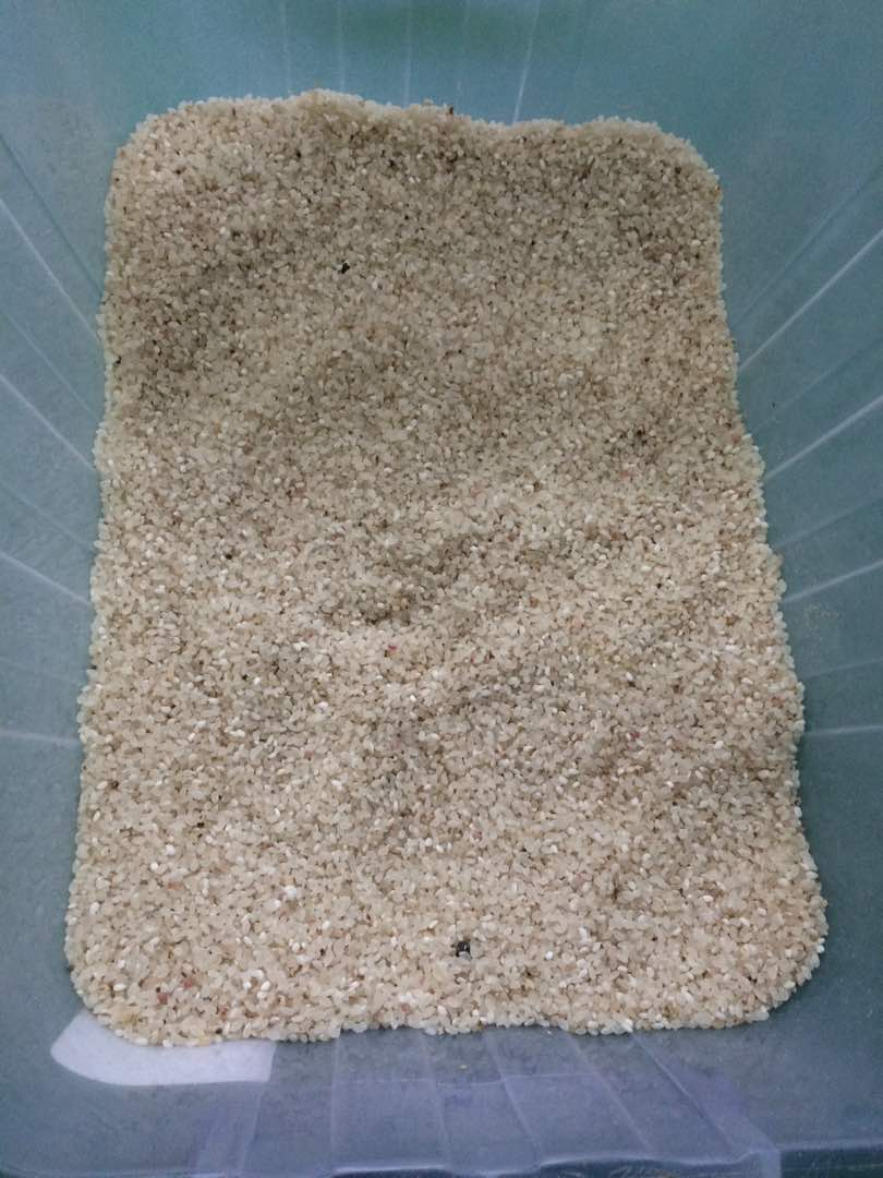 Máquina de clasificación de arroz de forma larga y color