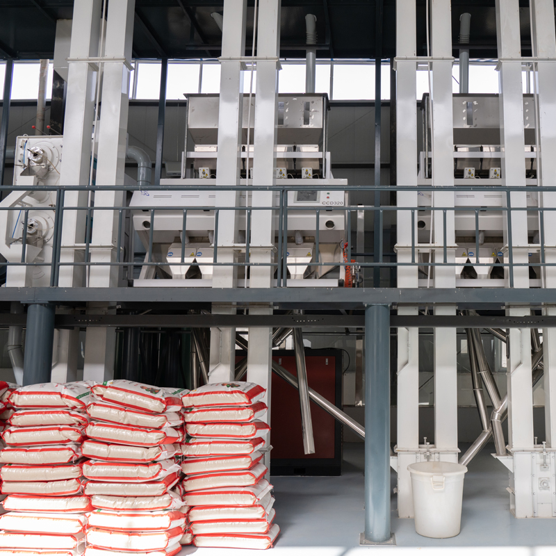 Línea de producción de arroz paddy comercial a precio de fábrica, planta de molino de arroz automática